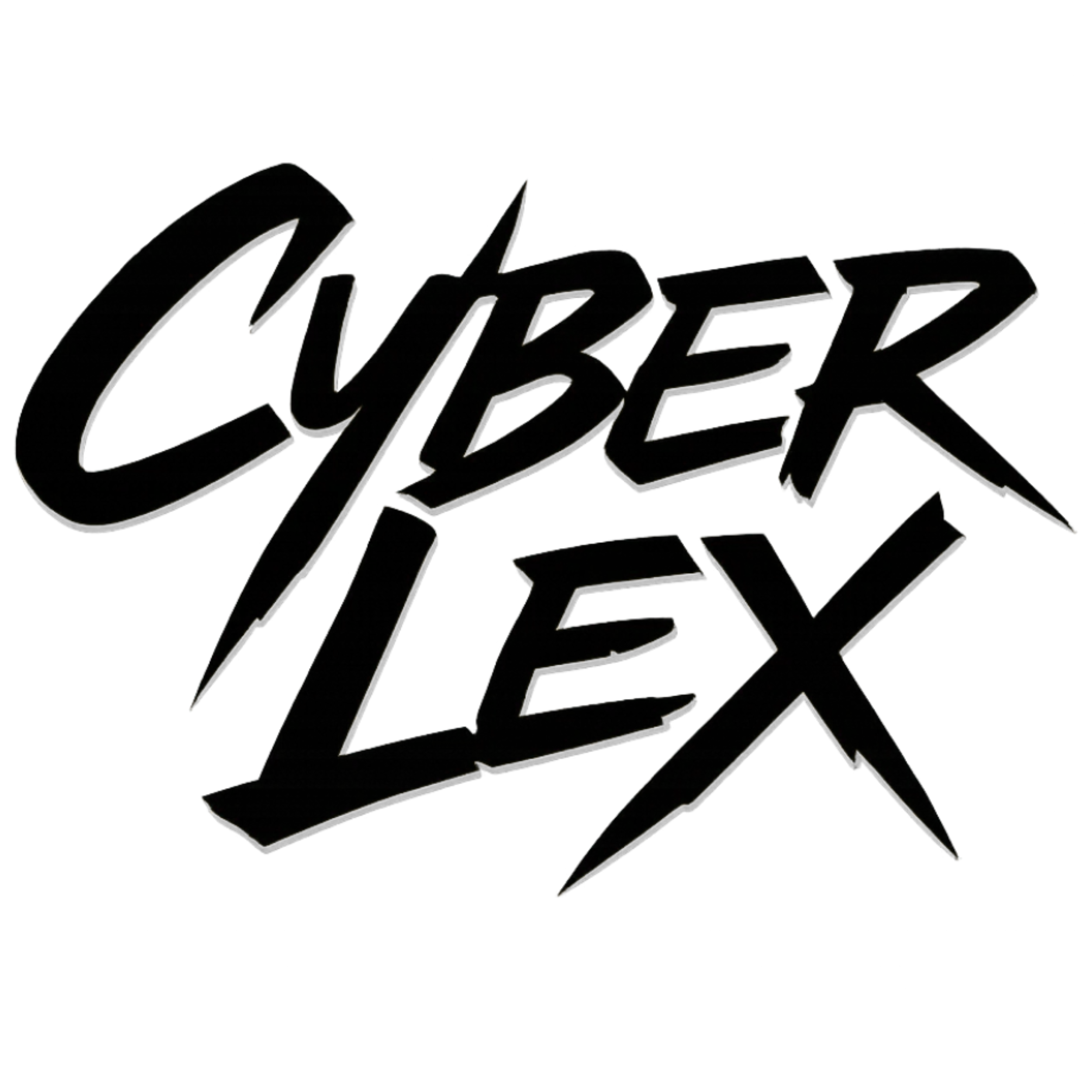 CyberLex Kurse